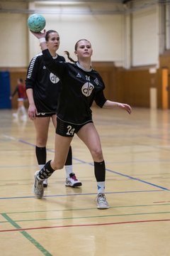 Bild 169 - wAJ TSV Ellerau - HSG Pinnau : Ergebnis: 28:13